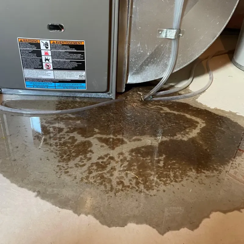 Appliance Leak Cleanup in Oak Hill, OH